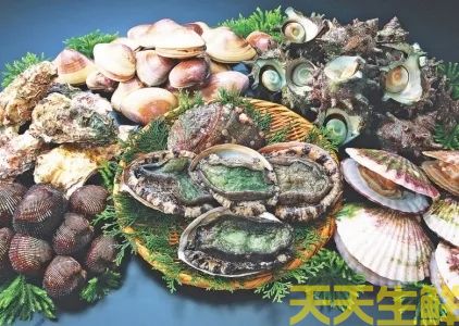 廣州送菜公司分享：常見的海鮮貝類有哪些？(圖1)
